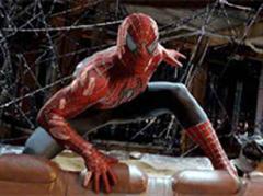 Spiderman hat sein Vorbild im Bakterium Caulobacter Crescentus.