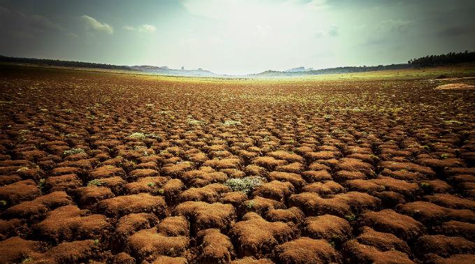 Aktuell herrscht in Indien eine der schlimmsten Dürren seit Jahrzehnten. (Symbolbild)