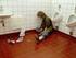 Vollgepumpt dem Tode nah: Obdachloser Fixer auf einer öffentlicher Toilette.